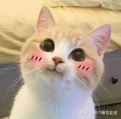 内衣尺码选购指南_内衣外穿女明星_如何挑选适合自己尺码的内衣