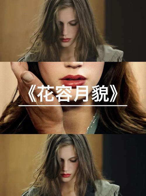 花容月貌在线观看 高清完整版免费看